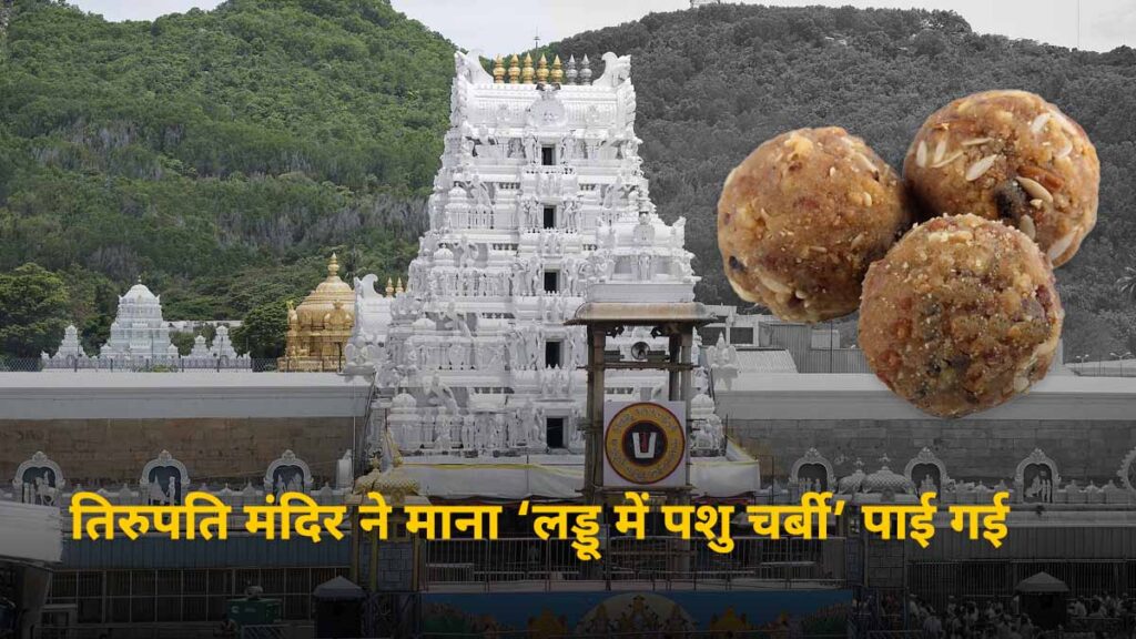 tirupati-laddu